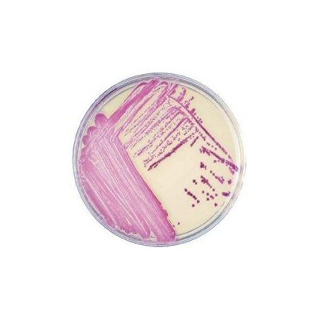 MICROBIOLOGY TESTING SUPPLIES - STERILITY TESTING