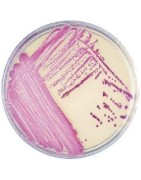 MICROBIOLOGY TESTING SUPPLIES - STERILITY TESTING